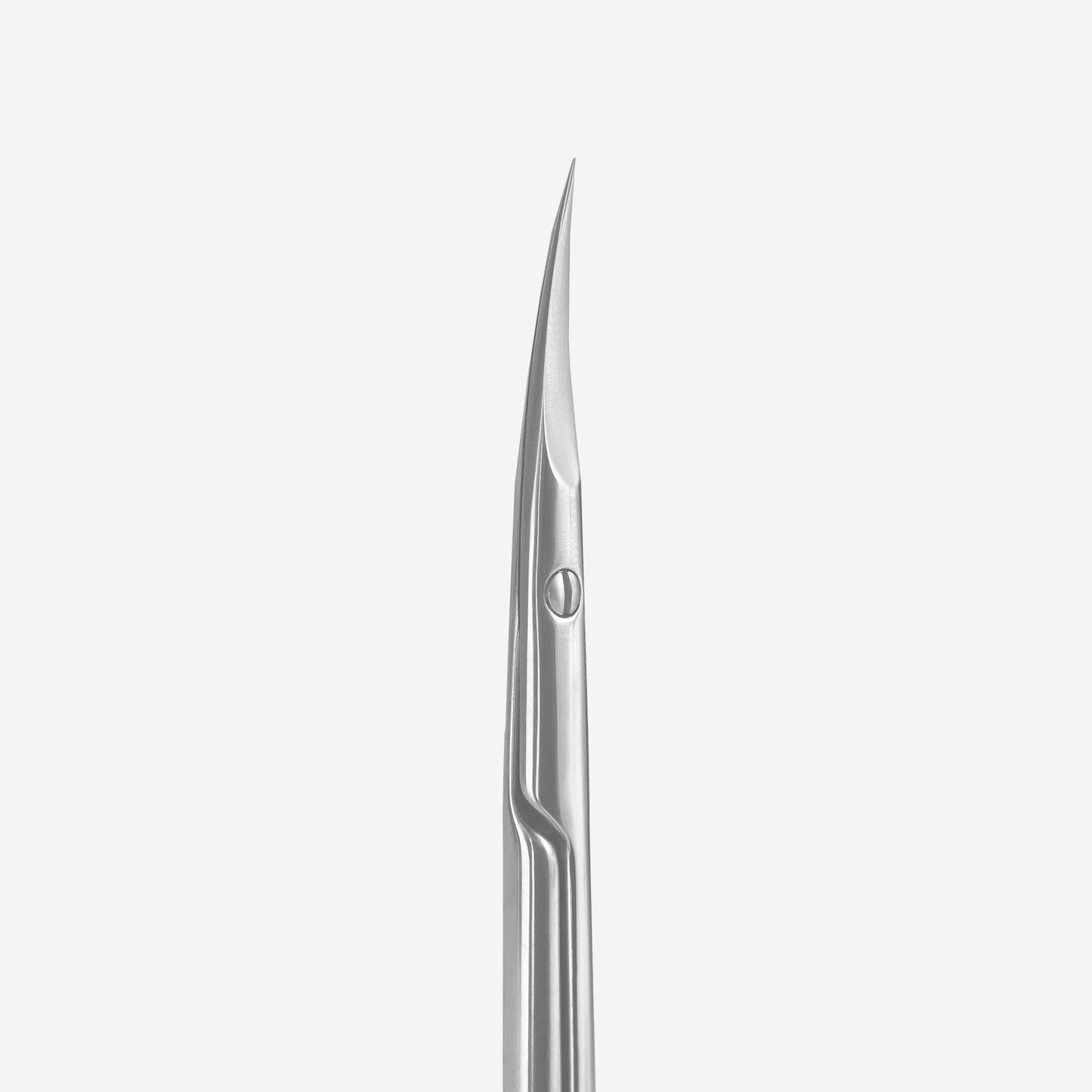Professional cuticle scissors Staleks Pro Expert 20 Type 2