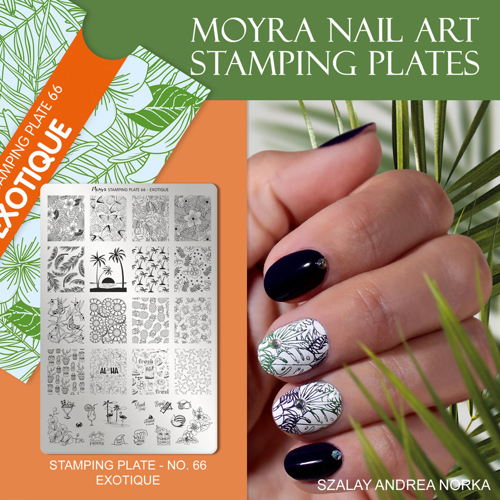 Moyra Stamping Plate 66 EXOTIQUE